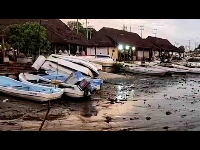 ⁣Huracán Beryl Causa Estragos en Campeche: Árboles Caídos y Cortes de Energía Eléctrica