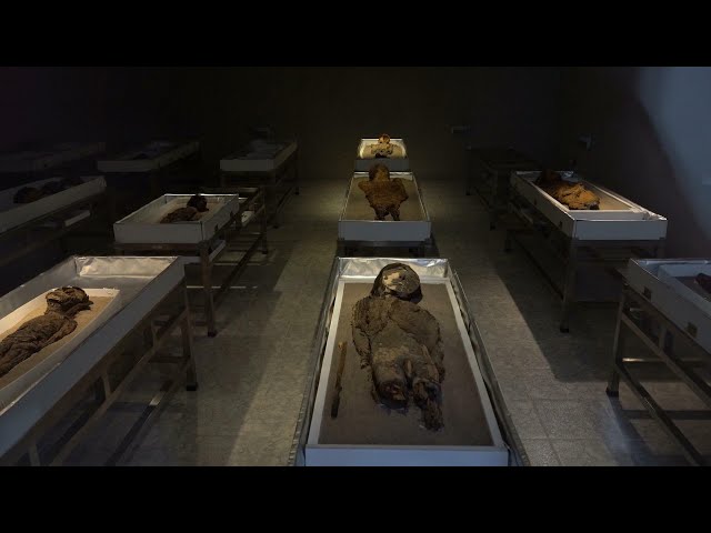 ⁣The race to save the world's oldest mummies