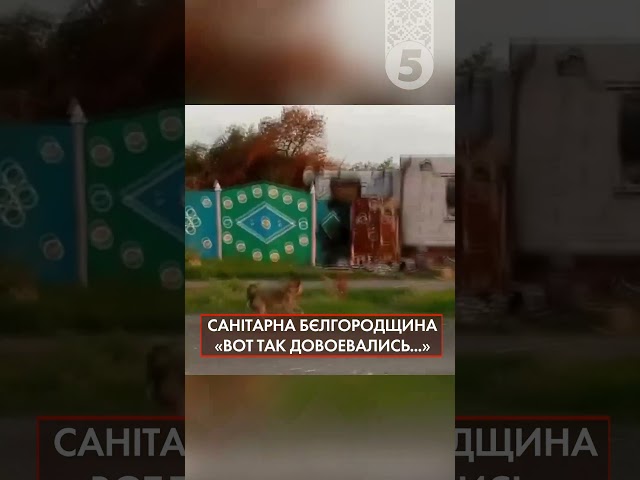 ⁣Санітарна Бєлгородщина