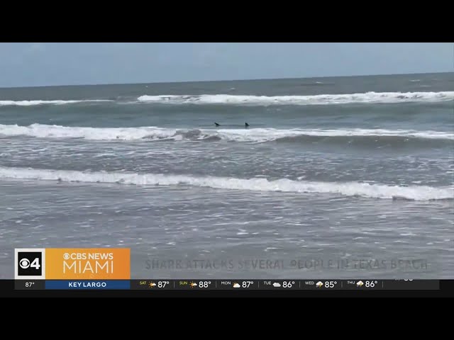 ⁣Caught on camera: Several injured in shark attacks at Florida and Texas beaches