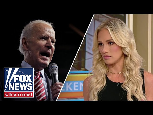 ⁣Tomi Lahren: This has been a years-long scandal in the making