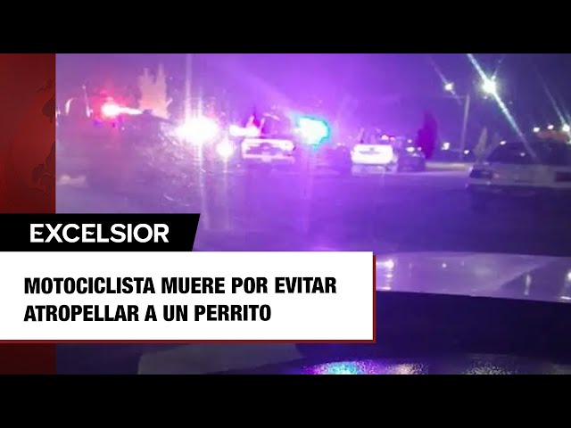 Motociclista muere al derrapar por evitar atropellar a un perrito