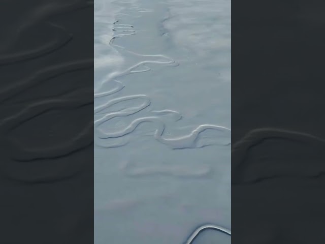 Impresionante río congelado parece serpiente desde la altura