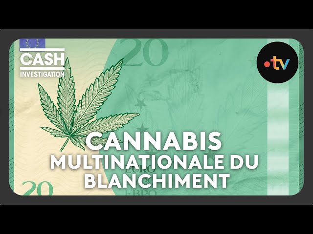 Cannabis, la multinationale du blanchiment (intégrale) - Cash investigation