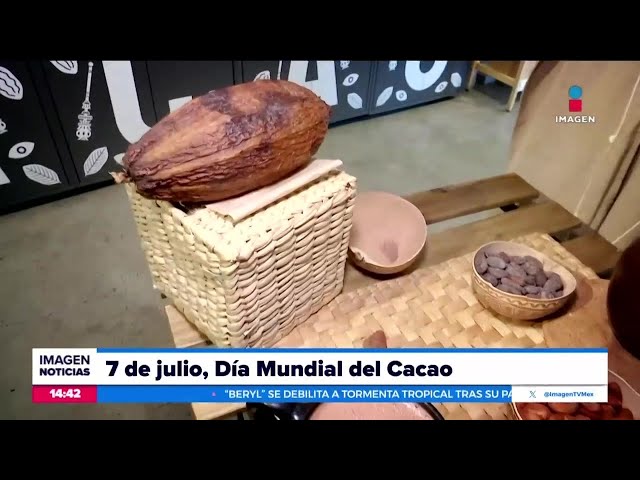 ⁣El 7 de julio se celebra el Día Mundial del Cacao | Noticias con Crystal Mendivil