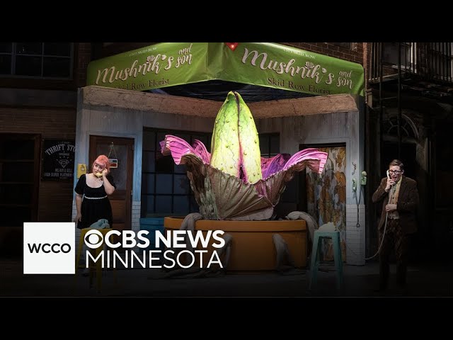 ⁣Rollicking "Little Shop of Horrors" opens at Guthrie Theatre