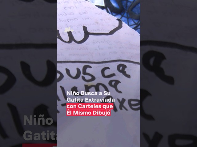 Niño busca a su gatita extraviada con carteles que él mismo dibujó - N+ #Shorts