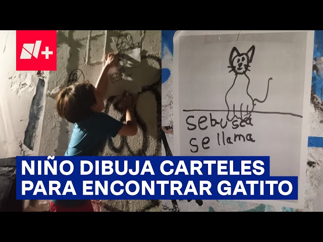 Niño busca a su gatita extraviada con carteles que él mismo dibujó - N+