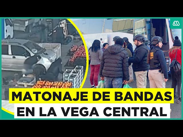 La Vega Central: Denuncian matonaje de bandas venezolanas y dominicanas