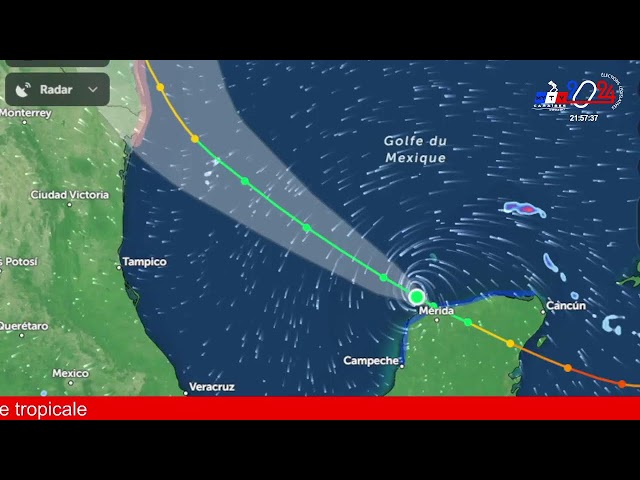 MYTV CARAIBES CANAL+ 44, ORANGE 40,SFR 313,FREE PARIS 909 MSR STMARTIN 31