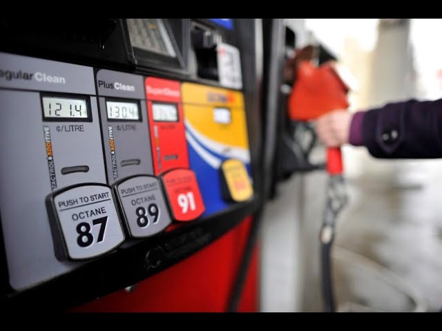 Business Report: Gas prices set to fall across the GTA