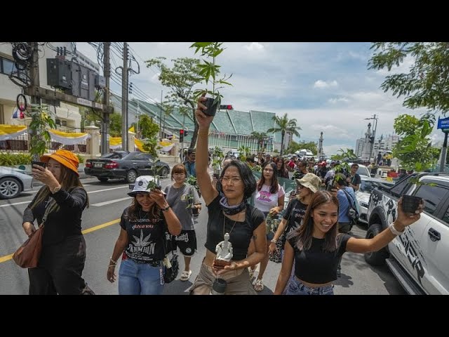 No comment : manifestation contre la repénalisation du cannabis