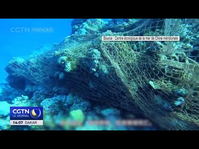 ⁣Echoué au Ren'ai Jiao, le navire philippin nuit à l'écosystème naturel de la mer