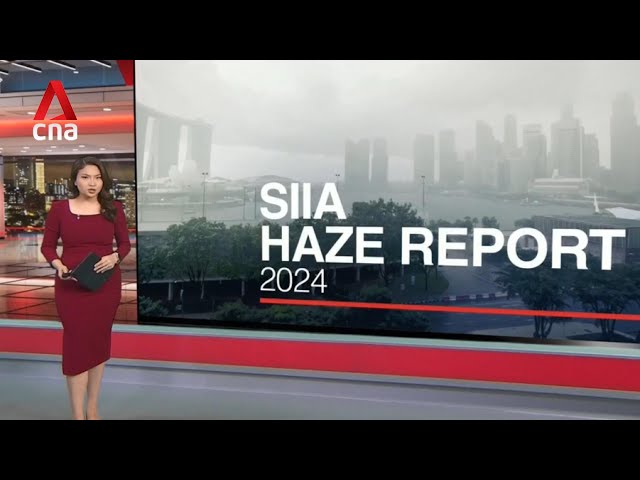 Haze report shows low risk for Singapore, Malaysia and Indonesia in coming months