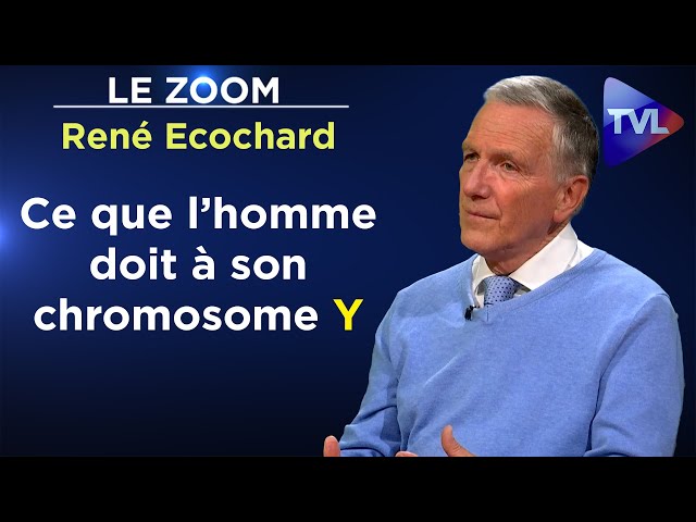 Différences homme-femme : les révélations des neurosciences ! - Le Zoom - René Ecochard - TVL