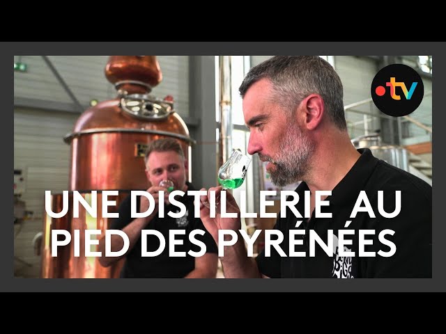 ⁣Gin, liqueur, pastis : une distillerie s'installe au pied des Pyrénées