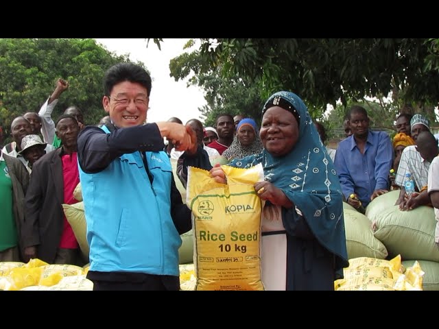 ⁣DOHO RICE FARMERS READY TO ENTER GLOBAL MARKET WITH AROMATIC RICE AFTER BOOSTED BY KOPIA