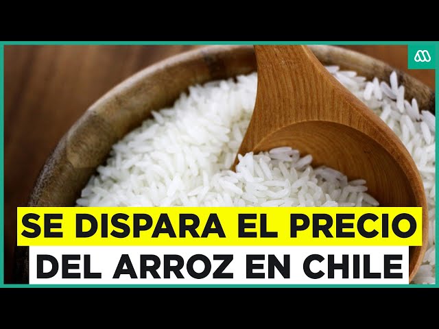 ⁣Este es el elevado precio del arroz: ¿Por qué está tan caro este alimento?