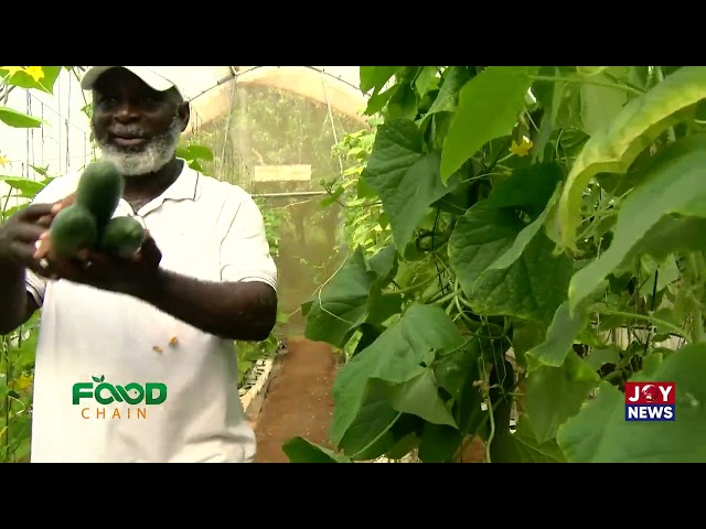 ⁣Food Chain: Exploring Albert’s Haven Farms and Respite Centre