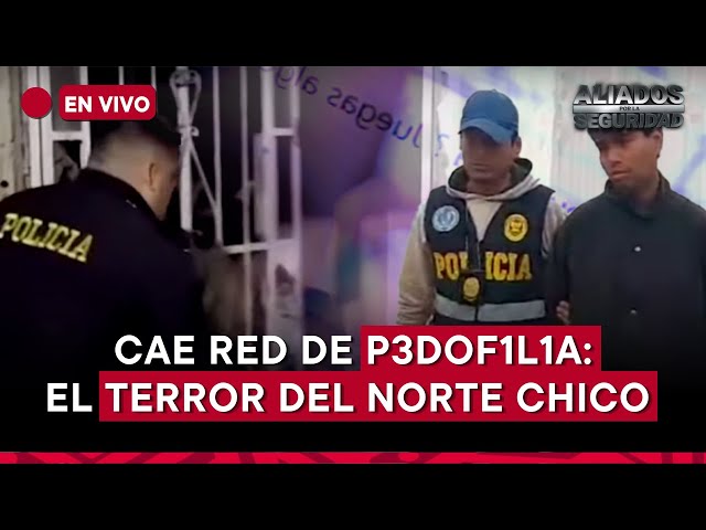 Desarticulan red de pedofilia I Aliados por la Seguridad de TVPeru Noticias EN VIVO