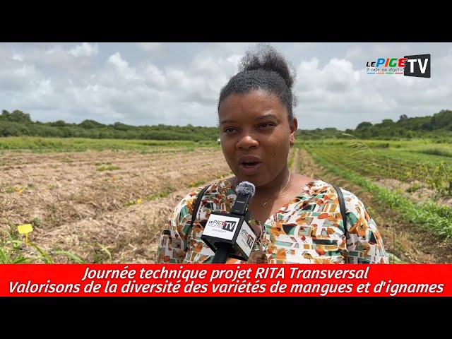 Journée technique projet RITA Transversal: Valorisons de la diversité des variétés mangues & ign