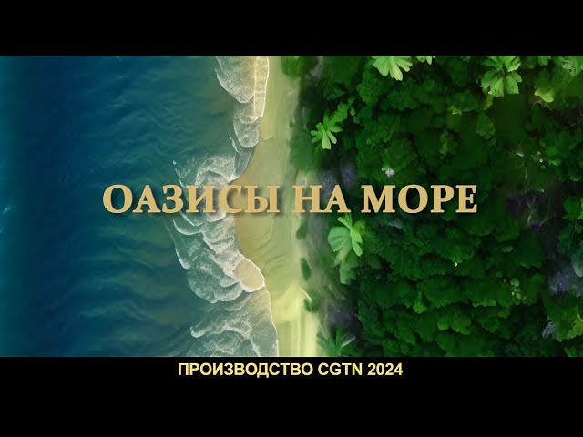 ⁣Документальный фильм «Оазисы на море»