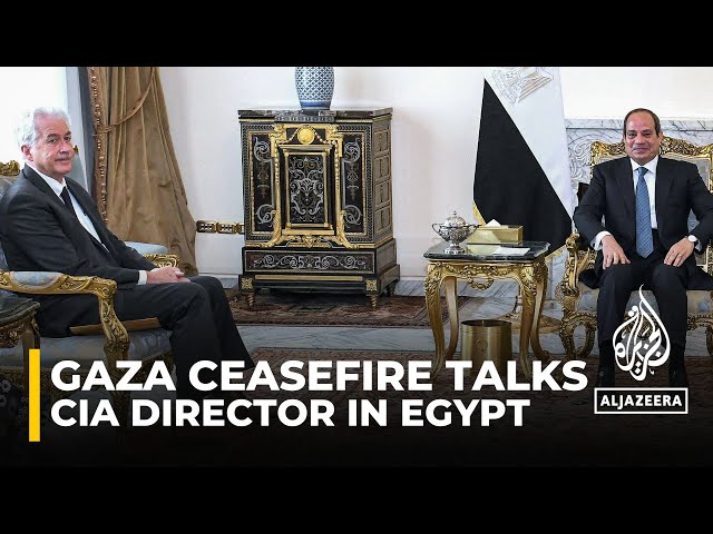 CIA director in Egypt: Talks with President Sisi on Gaza ceasefire efforts