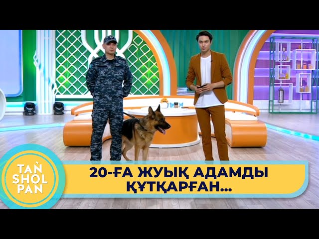 ⁣Екі жылда 20-ға жуық адамды құтқарған ит