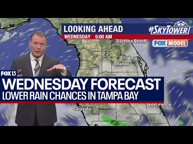 ⁣Tampa weather July 10, 2024 | Saharan dust lowering rain chances