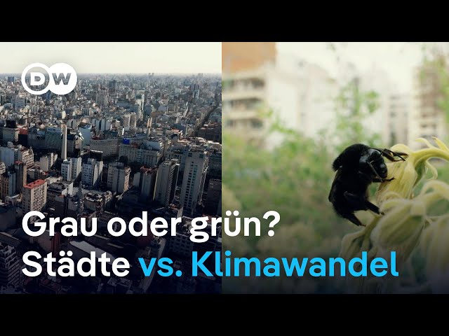 ⁣Groß, bunt und umweltfreundlich: Neue Städte für das 21. Jahrhundert | Global Us