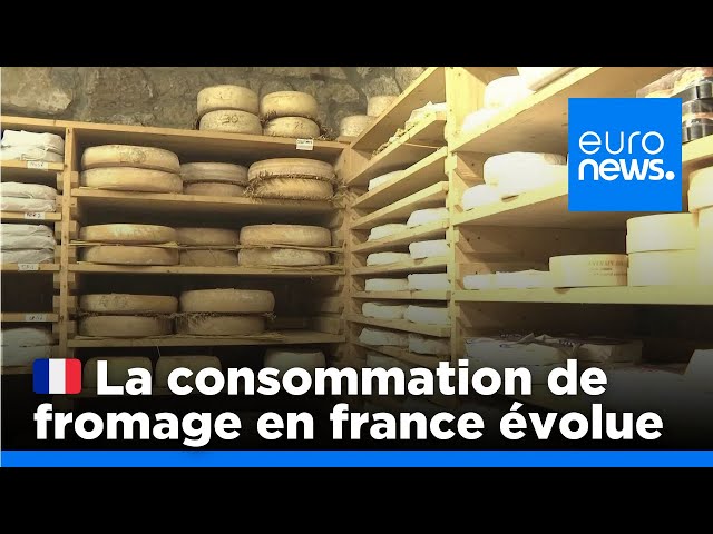 Les Français et le fromage : une longue histoire d'amour qui évolue | euronews 