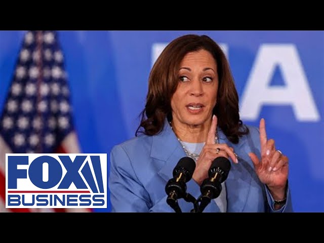 ⁣Democrats, Kamala have ‘completely’ engaged in this ‘cover-up’: GOP rep