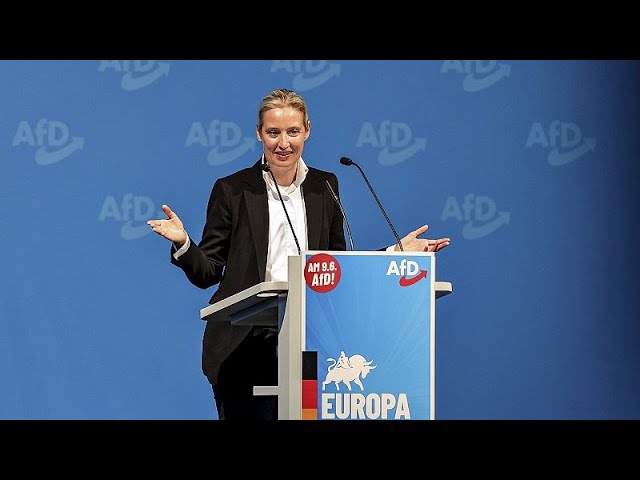 ⁣Die radikalsten der Radikalen bilden neue EU-Fraktion - Angeführt von der AfD