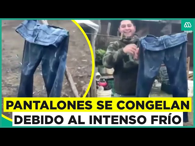 Pantalón se congela debido a fuertes heladas: Así se desarrolla la ola de frío en la zona centro sur