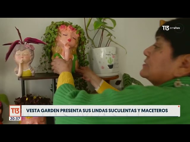 Vesta Garden presenta sus suculentas y maceteros hechos a mano