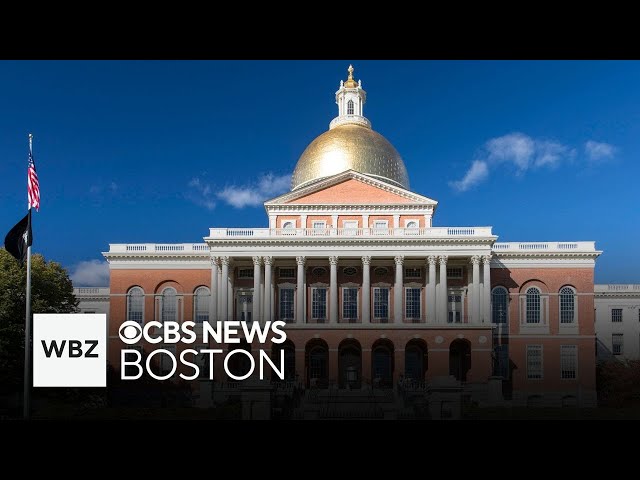 ⁣Questions to eliminate MCAS, legalize psychedelics to appear on Massachusetts ballot