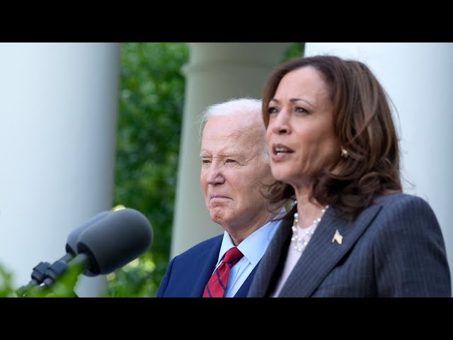 Kamala Harris ‘as weak as’ Joe Biden in opinion polling