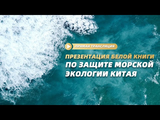 ⁣Презентация белой книги по защите морской экологии Китая