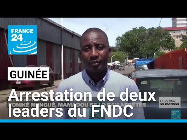 Guinée : arrestation de deux leaders du Front National pour La Défense de la Constitution