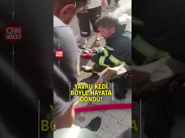 ⁣Yangından Son Anda Kurtarıldı! Ekipler Yavru Kediyi Böyle Hayata Döndürdü...