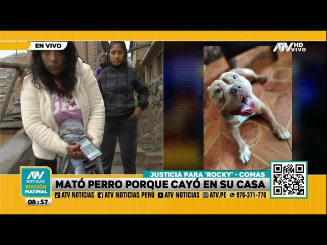 Comas: Perrito cayó a la casa del vecino y los desalmados mataron a la mascotita a golpes