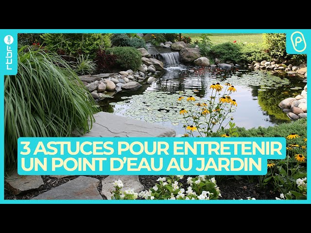 3 astuces pour entretenir un point d'eau au jardin - On n'est pas des Pigeons