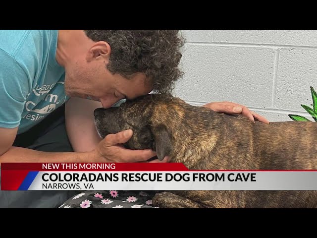 ⁣Colorado cavers rescue ‘miracle’ dog found in cave