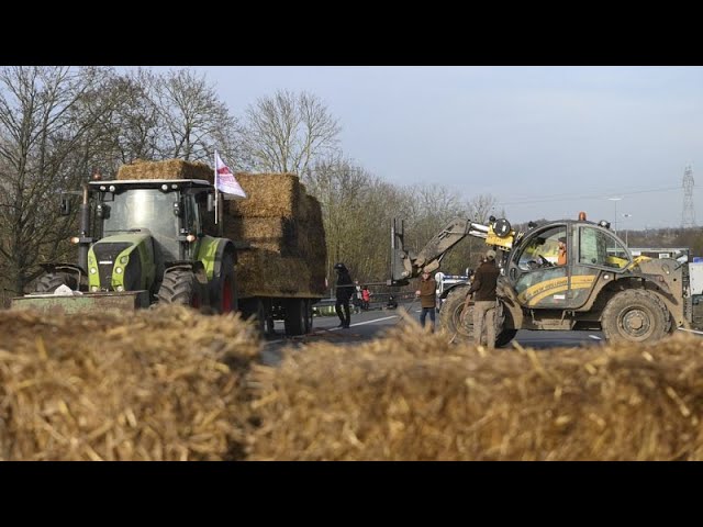 ⁣France : pour les agriculteurs, l'une des pires récoltes de blé depuis des années à cause des p