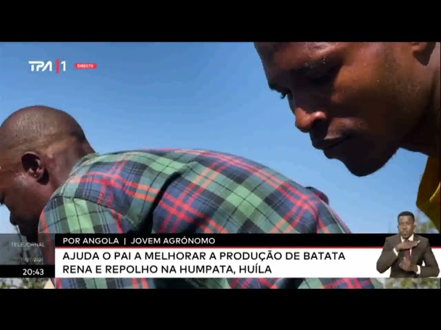 ⁣Por Angola -Jovem Agrónomo ajuda o pai a melhorar a produção de batata rena e repolho na Humpata,