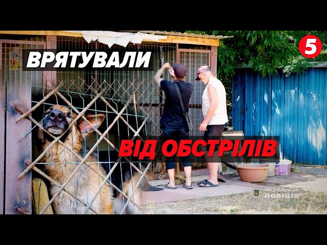 ⁣Із пекла у пекло! Втекли від обстрілів із Вугледару і вимушені були ТІКАТИ ВДРУГЕ