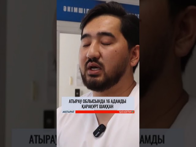 ⁣Атырау облысында 16 адамды қарақұрт шаққан