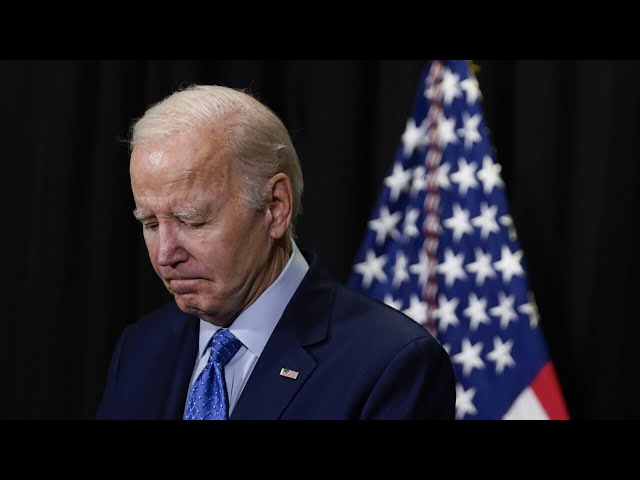 ‘Who is the leader of the free world?’: Joe Biden a ‘puppet’ for unelected people