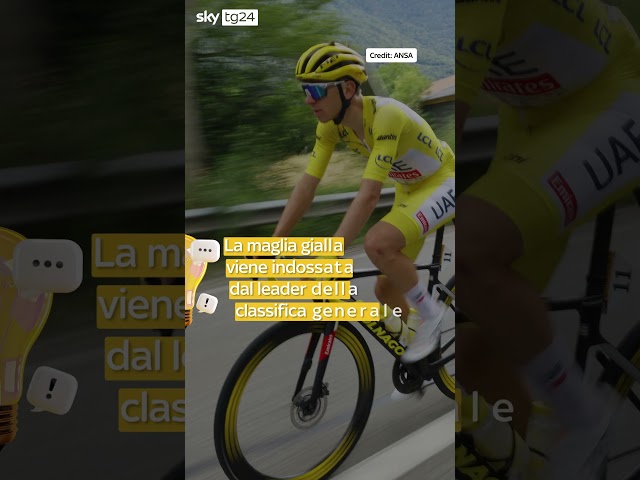 ⁣Tour de France, il significato delle quattro maglie