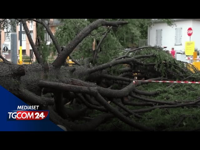 ⁣Meteo, caldo al Centro-Sud e temporali al Nord